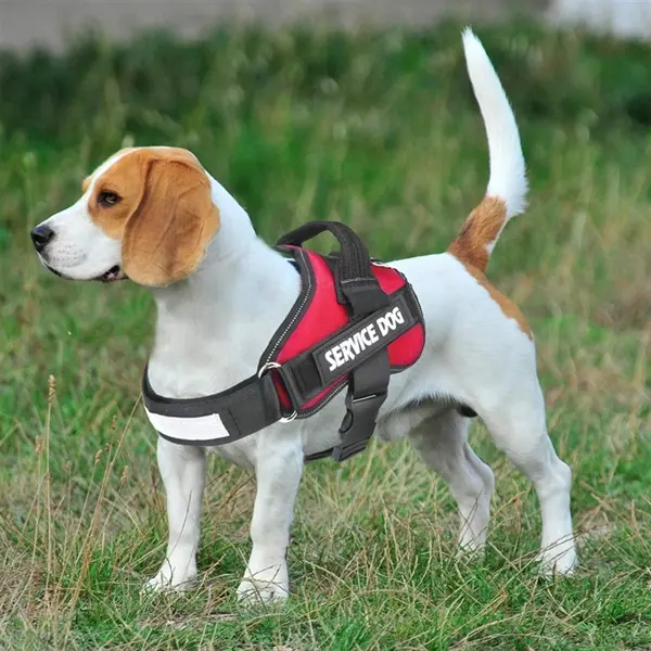 Pet Chest Vest Strap