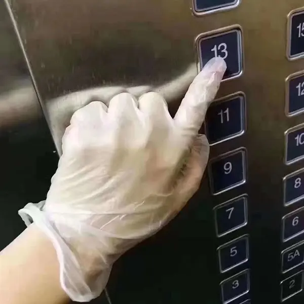 Vinyl Transparent Gloves