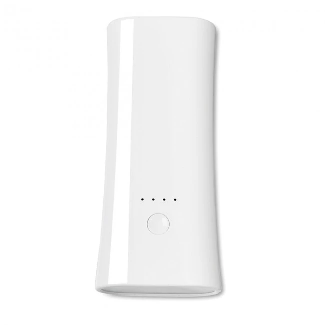 2 in 1 Powerbank and torch