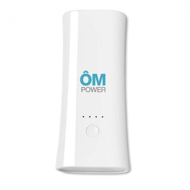 2 in 1 Powerbank and torch