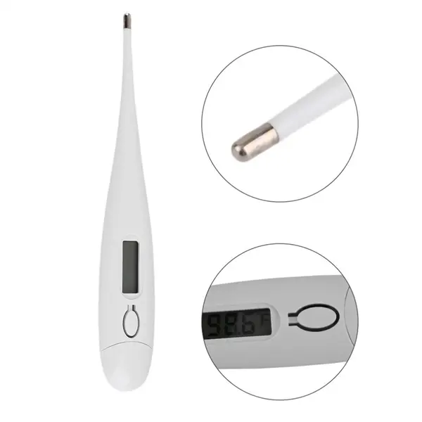 Accurate Reading Digital Body Thermometer