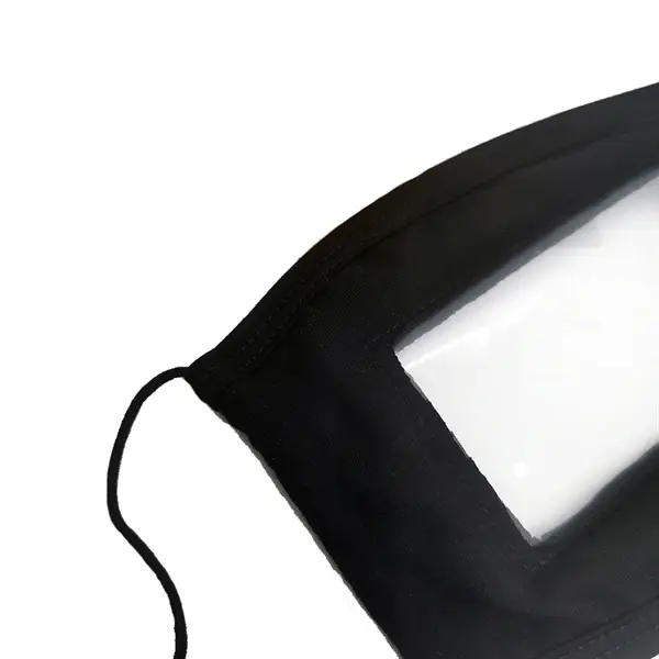 Mask With Clear Window Visible Expression