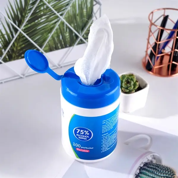100 Pcs Antibacterial Wet Wipes