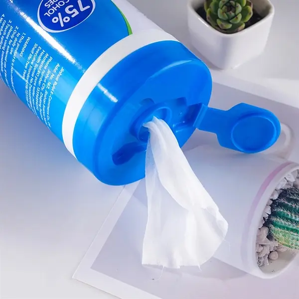 100 Pcs Antibacterial Wet Wipes