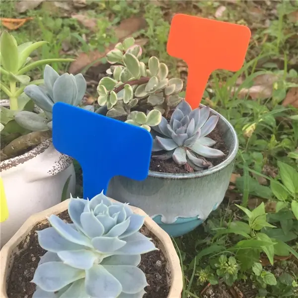 Plant and Herb T-Type Labels