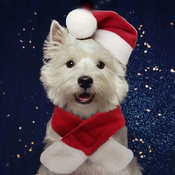 Pet Christmas Scarf And Hat Set