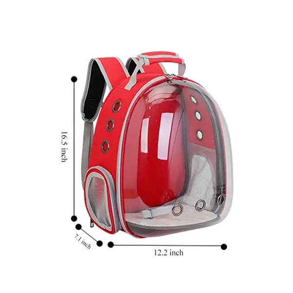 Transparent Cat Backpack