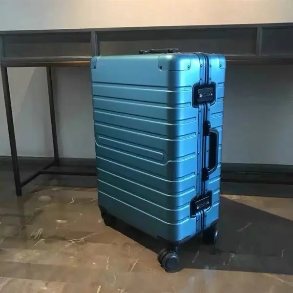 20" Traveling Storage Suitcase