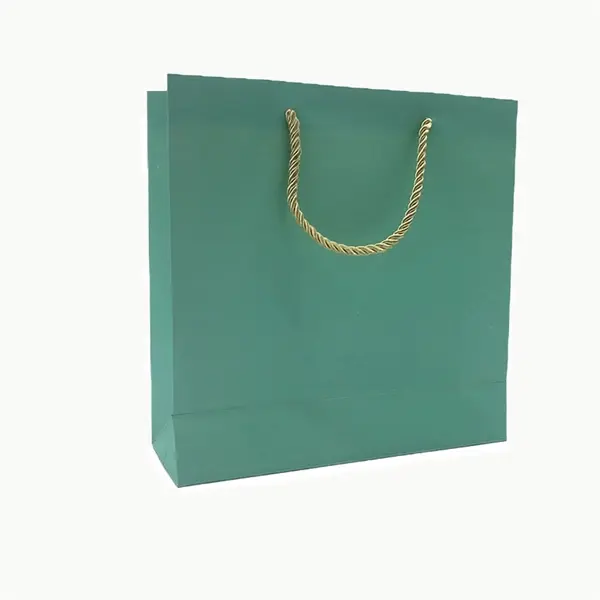 Portable Handles Paper Gift Bags