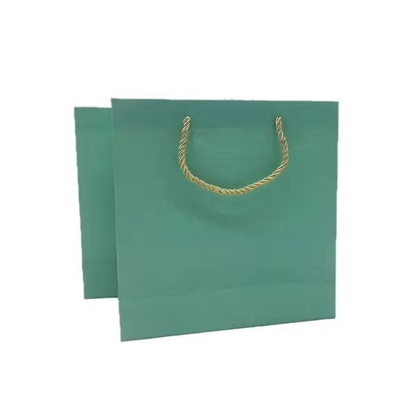 Portable Handles Paper Gift Bags