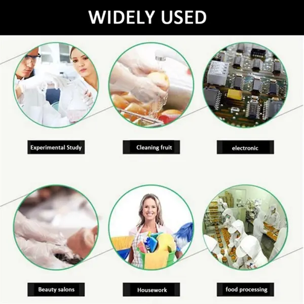 Disposable Vinyl Gloves