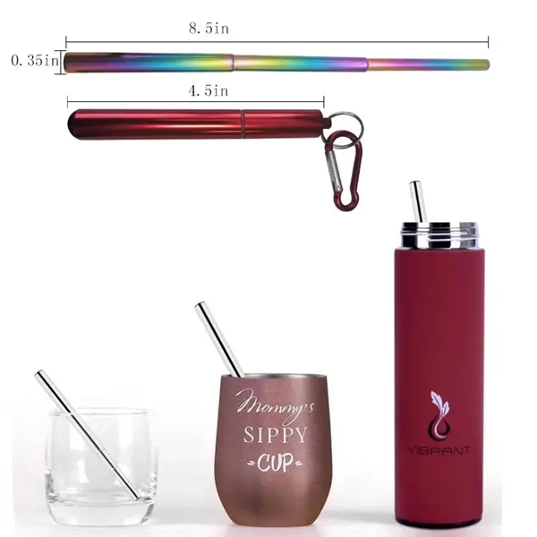 Collapsible Stainless Steel Straw Kit