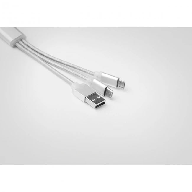 Keyring with USB Type C Cable