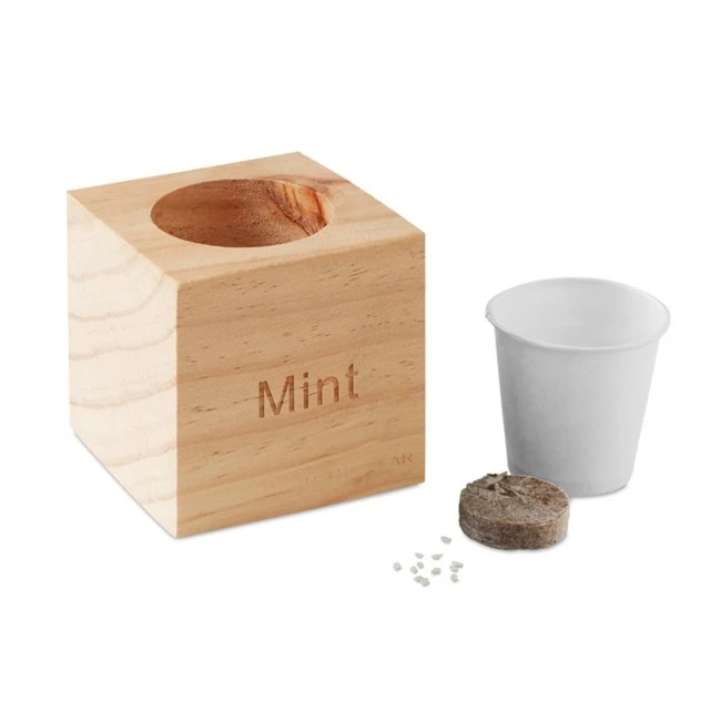Herb Wood Pot With Mint Seeds