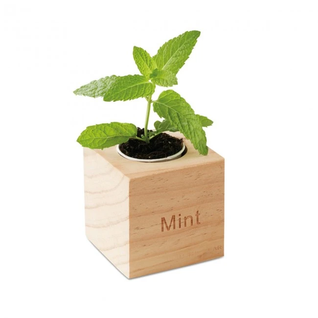 Herb Wood Pot With Mint Seeds