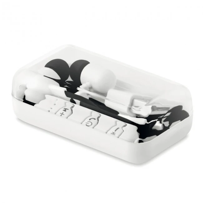 Bluetooth earphone in a box