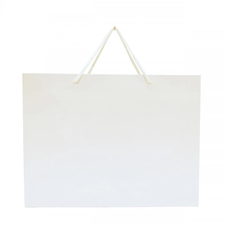 Walton Large Gloss Laminated Paper Carrier Bag