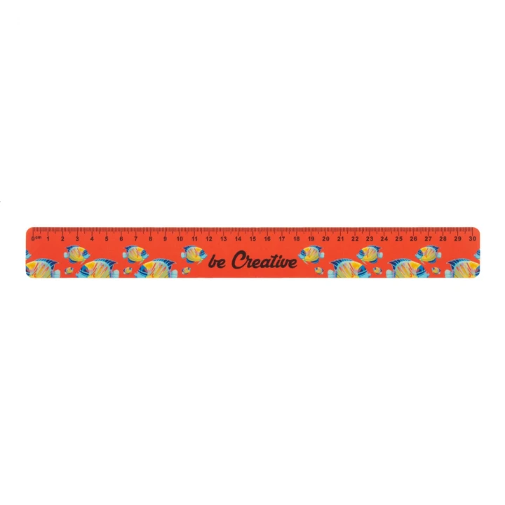 Drawy 30cm Custom Ruler