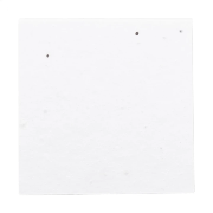 CreaStick Seed Note M Custom Sticky Notepad