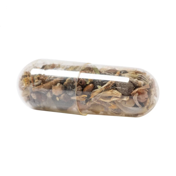 Flocca Flower Seed Capsule