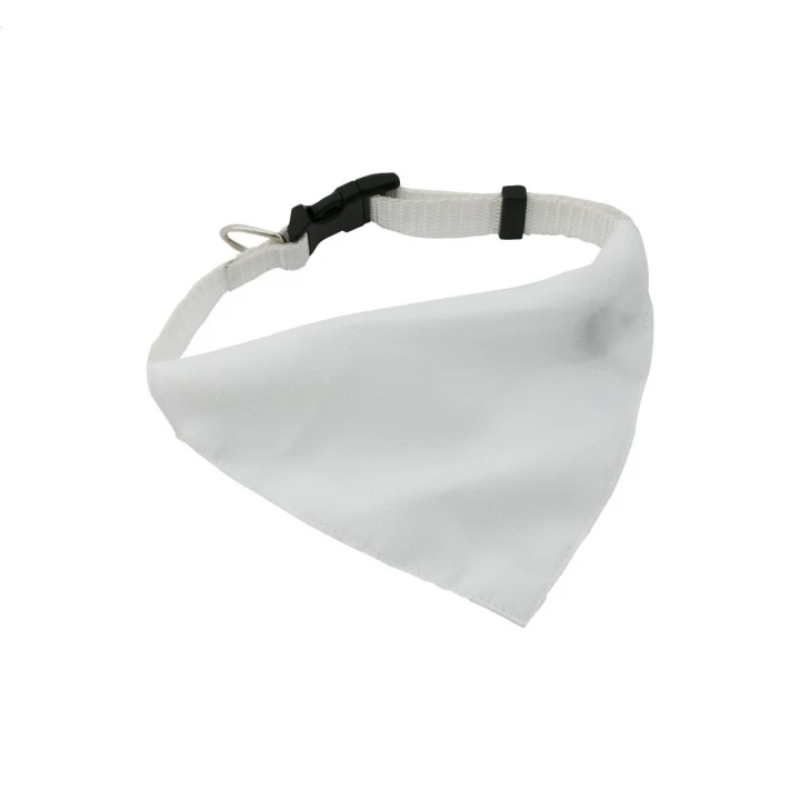 Rex Dog's Collar