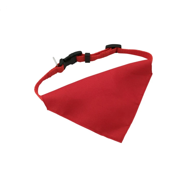 Rex Dog's Collar