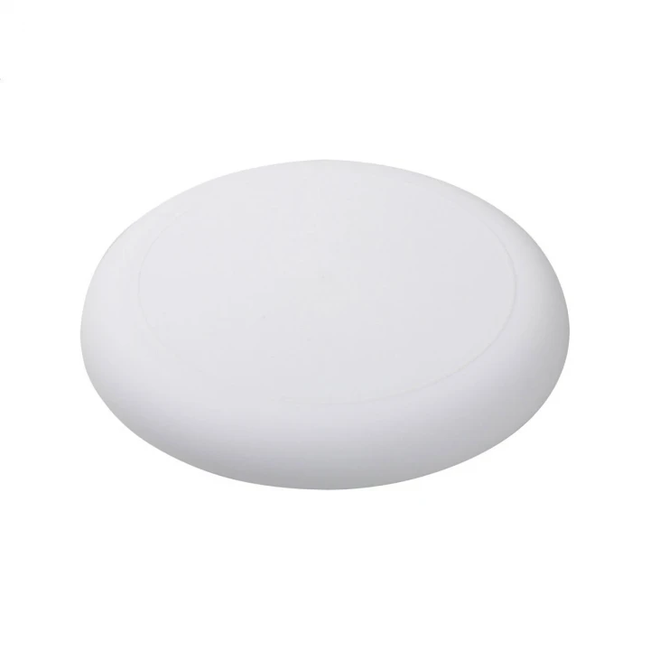 Horizon Frisbee