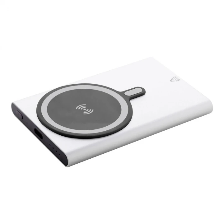 RaluStick Power Bank