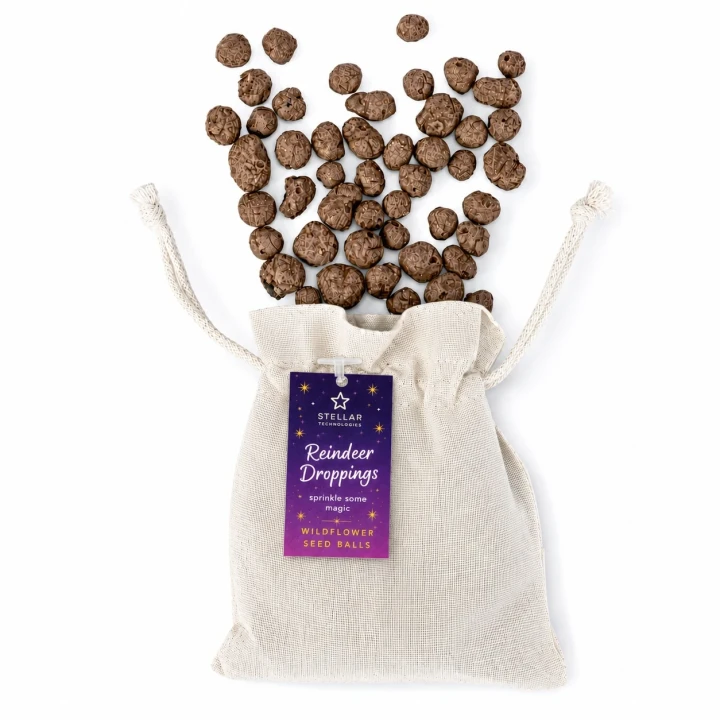Santa Sack of Reindeer Droppings