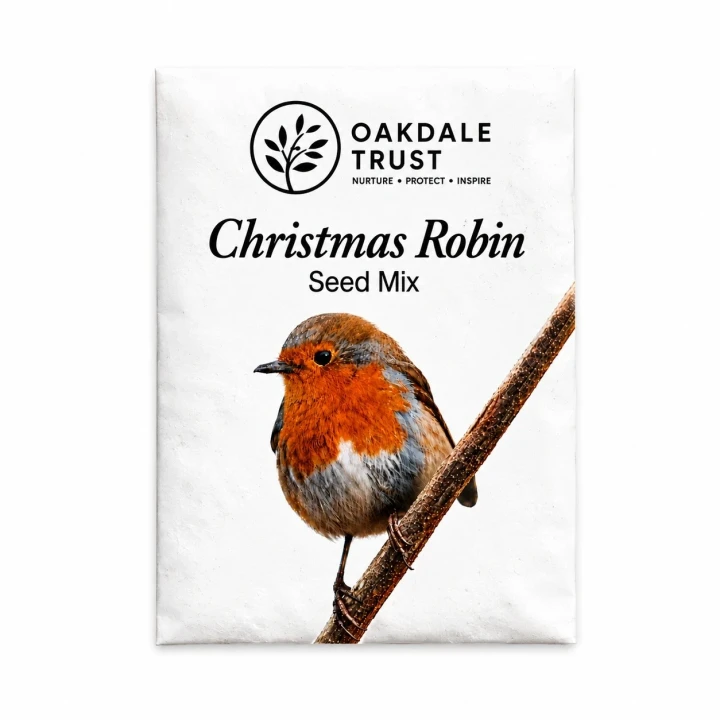 Christmas Robin Bird Seed