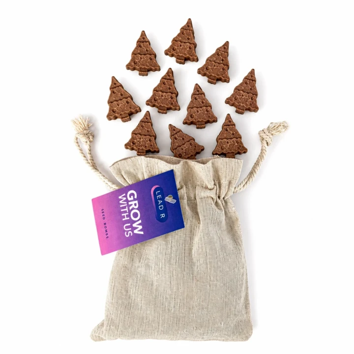Santa Sack of Christmas Tree Seed Bombs