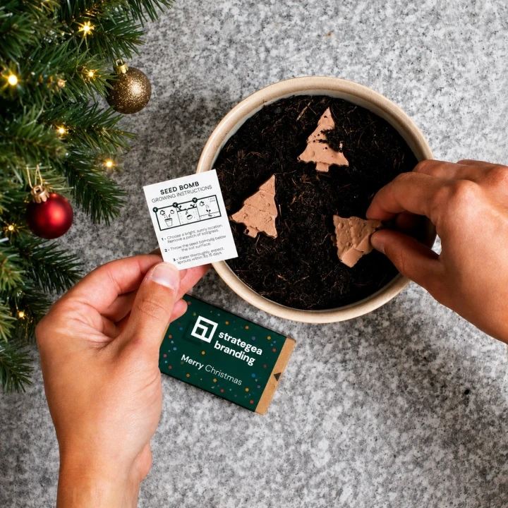 Christmas Tree Shaped Seed Bombs Matchbox