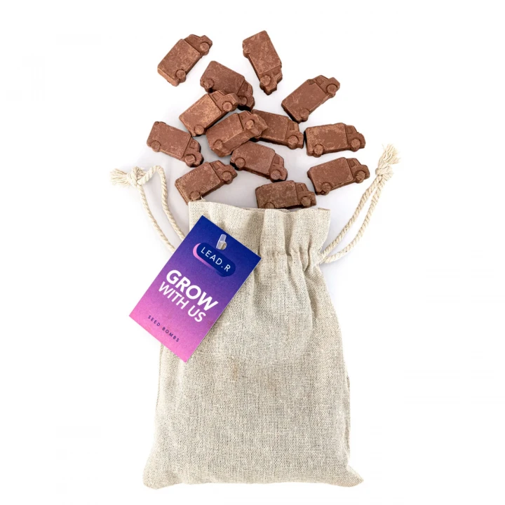 Van Shaped Seed Bombs - Bag