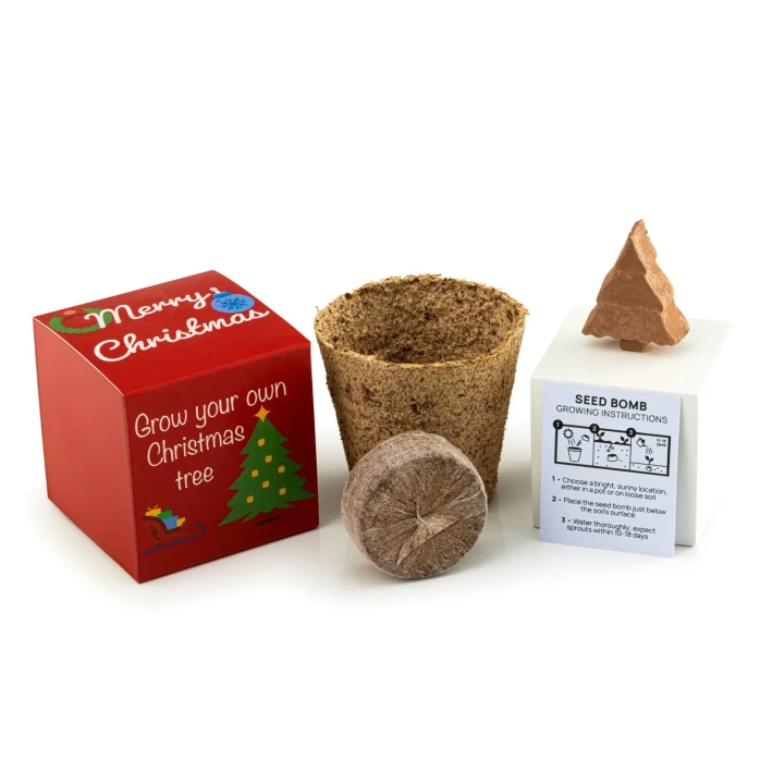 Christmas Tree Seed Bomb Kit (Fully Printed Box)