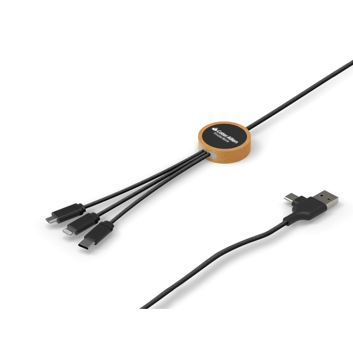 Regen Eco Charging Cable