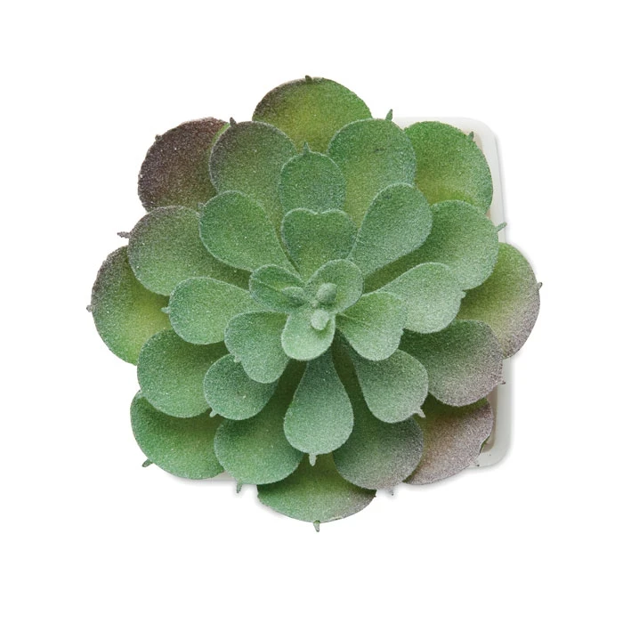 Mini Artificial Echeveria Plant