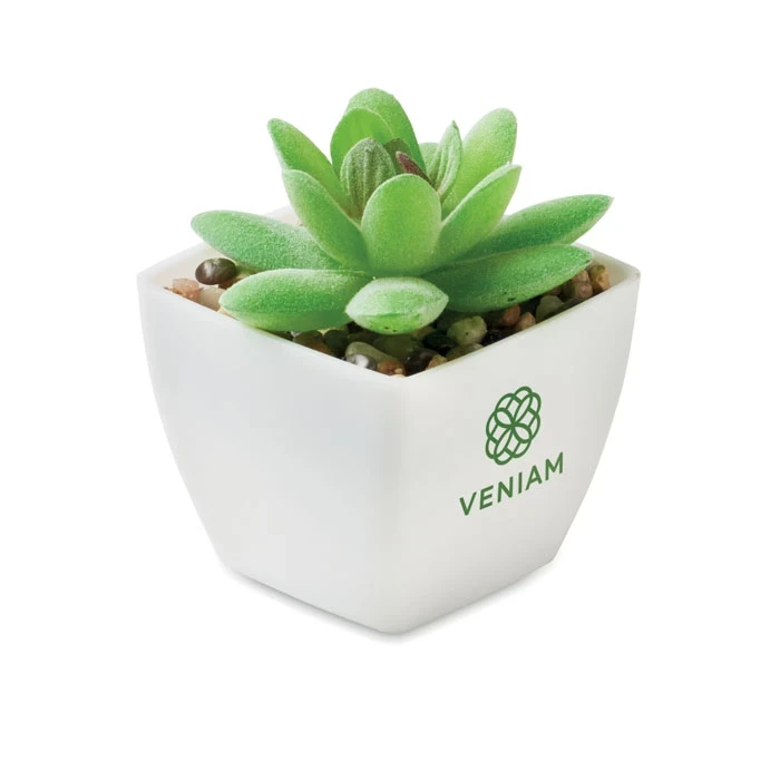 Mini Artificial Graptopetalum Paraguayense Plant