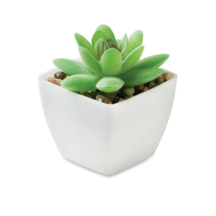 Mini Artificial Graptopetalum Paraguayense Plant
