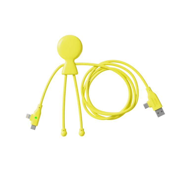 Mr Bio Long Fast 60W Multi Charging Cable