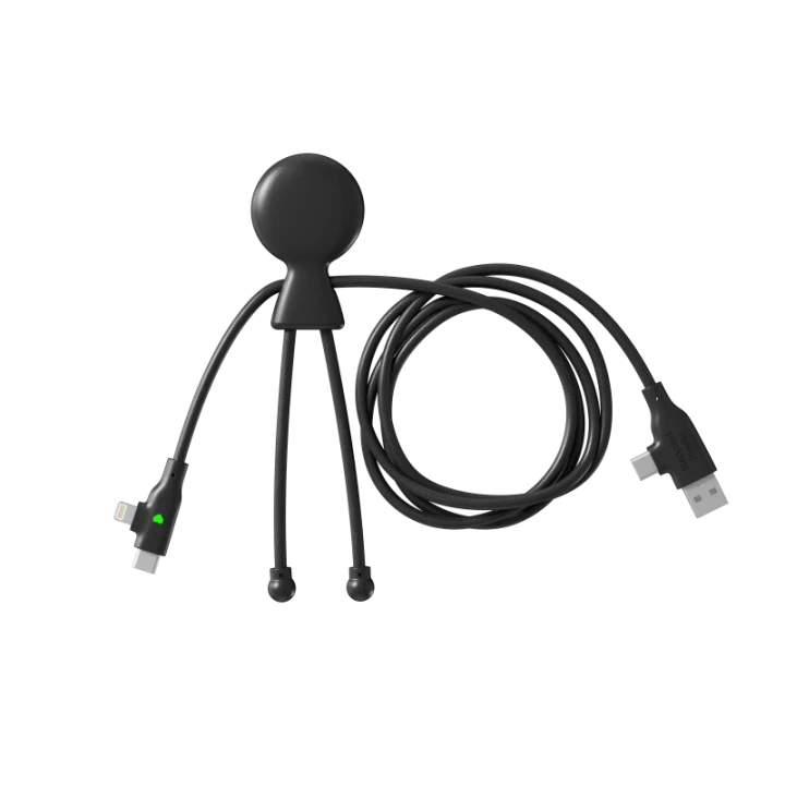 Mr Bio Long Fast 60W Multi Charging Cable