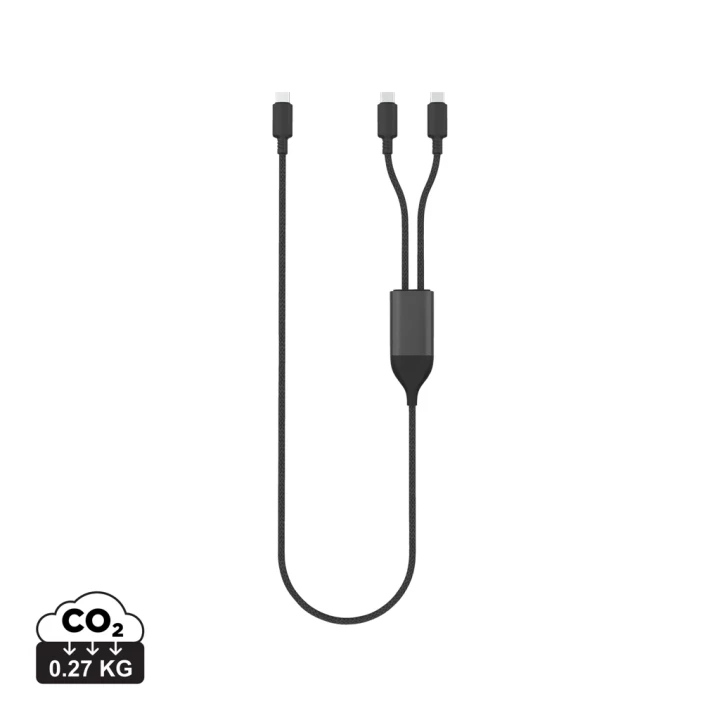 Terra 100W RCS Dual USB C output cable