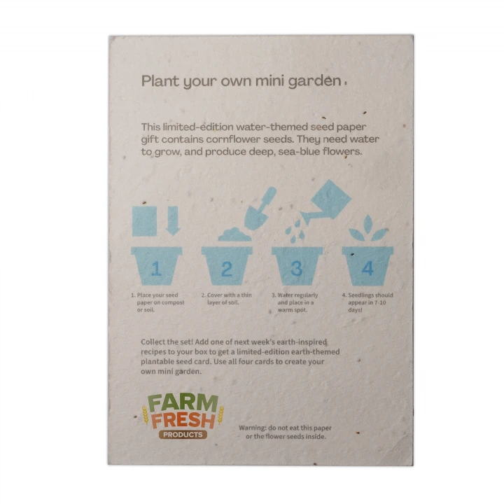 A6 Seed Paper Postcard