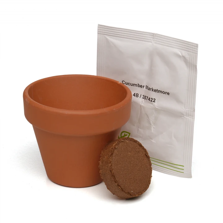 Standard Growing Gift