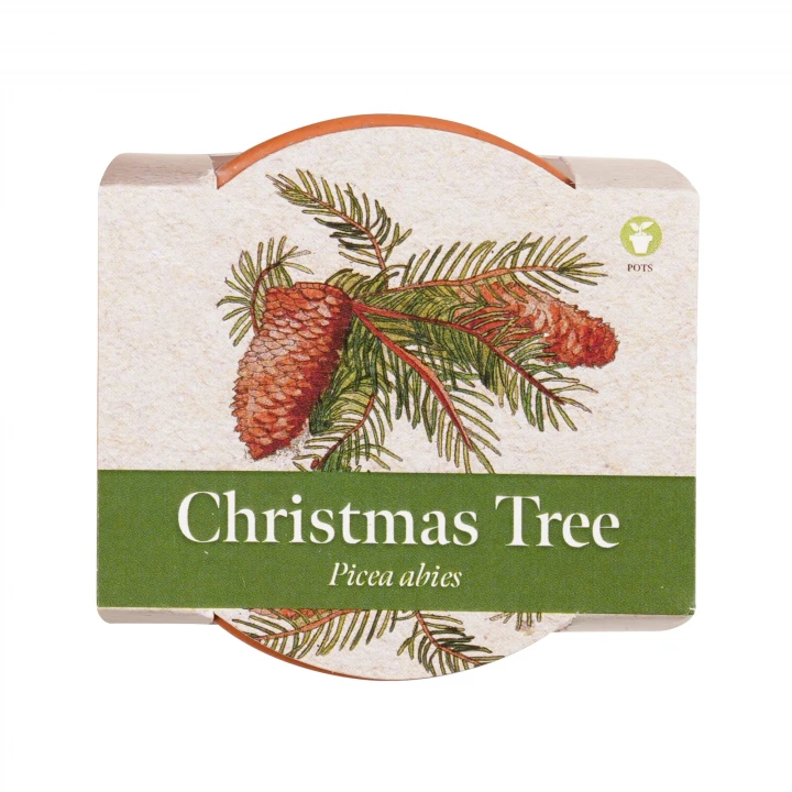 Standard Growing Gift