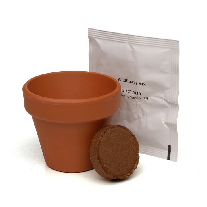 Mini Box Seed Kit