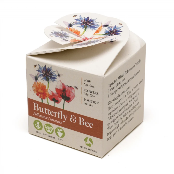 Mini Box Seed Kit