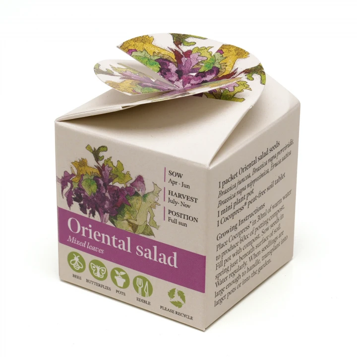 Mini Box Seed Kit