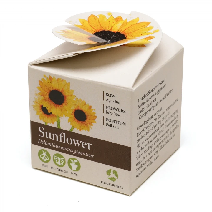 Mini Box Seed Kit