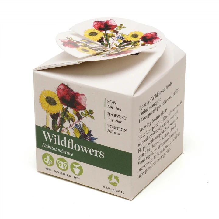 Mini Box Seed Kit