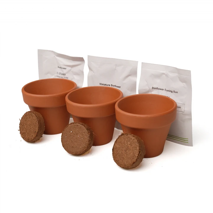 3-in-1 Garden Trio